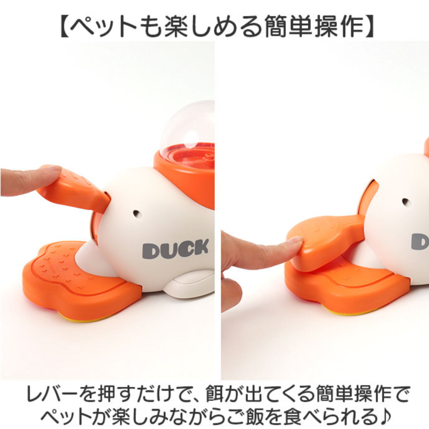 スマートフィーダーアヒル