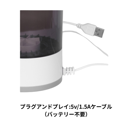 Princess Brush Dryer